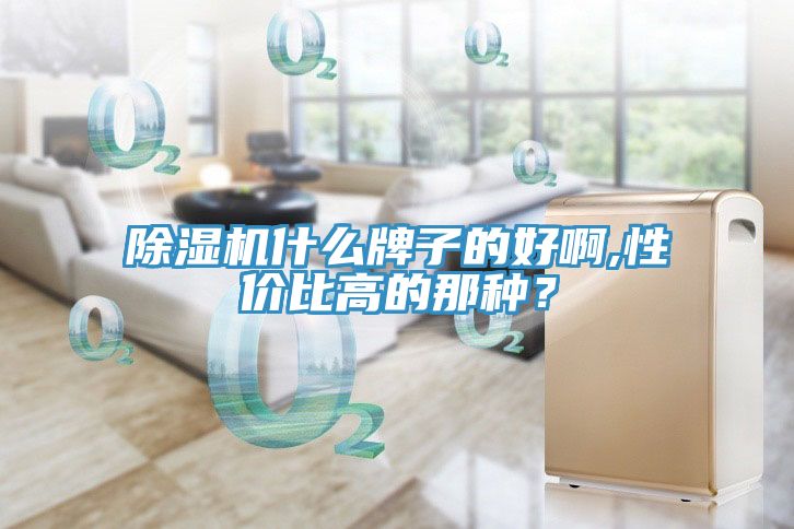 除濕機(jī)什么牌子的好啊,性價(jià)比高的那種？