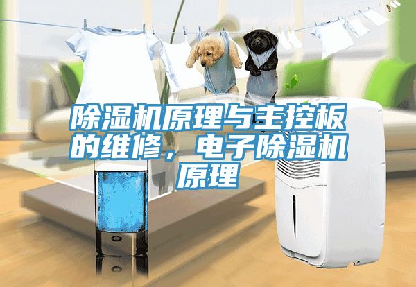 除濕機(jī)原理與主控板的維修，電子除濕機(jī)原理