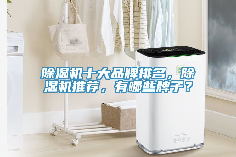 除濕機(jī)十大品牌排名，除濕機(jī)推薦，有哪些牌子？