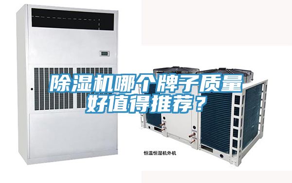 除濕機(jī)哪個牌子質(zhì)量好值得推薦？