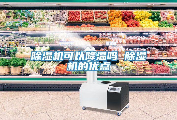 除濕機(jī)可以降溫嗎 除濕機(jī)的優(yōu)點