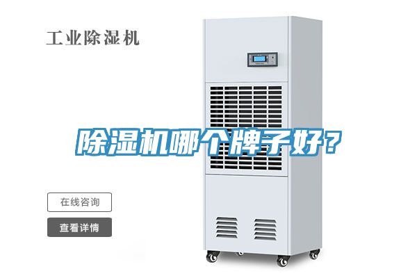 除濕機(jī)哪個(gè)牌子好？
