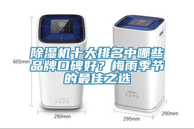除濕機(jī)十大排名中哪些品牌口碑好？梅雨季節(jié)的最佳之選