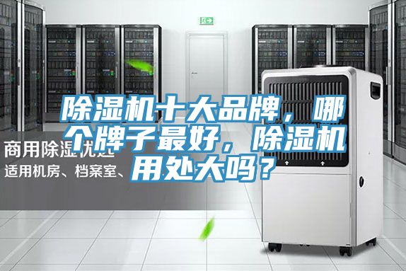 除濕機(jī)十大品牌，哪個(gè)牌子最好，除濕機(jī)用處大嗎？