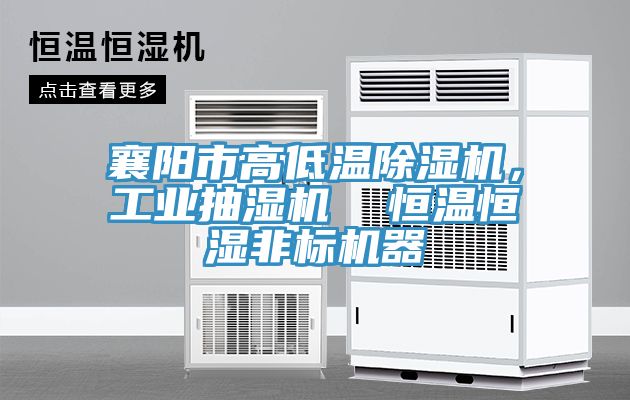 襄陽市高低溫除濕機(jī)，工業(yè)抽濕機(jī)  恒溫恒濕非標(biāo)機(jī)器