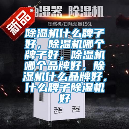 除濕機(jī)什么牌子好，除濕機(jī)哪個(gè)牌子好，除濕機(jī)哪個(gè)品牌好，除濕機(jī)什么品牌好，什么牌子除濕機(jī)好