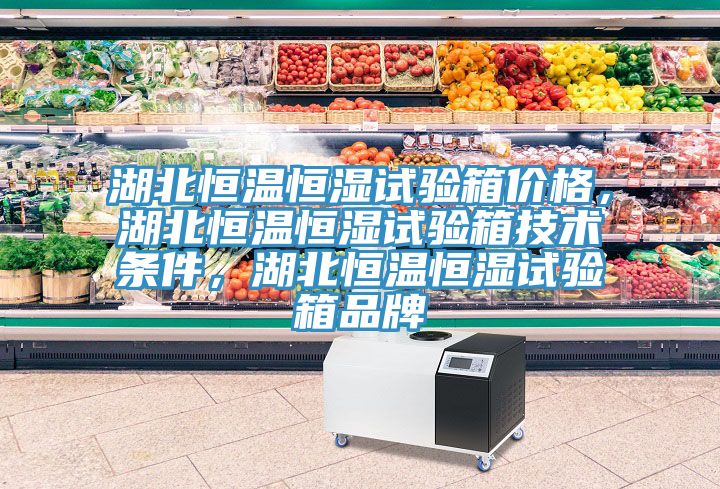 湖北恒溫恒濕試驗箱價格，湖北恒溫恒濕試驗箱技術(shù)條件，湖北恒溫恒濕試驗箱品牌
