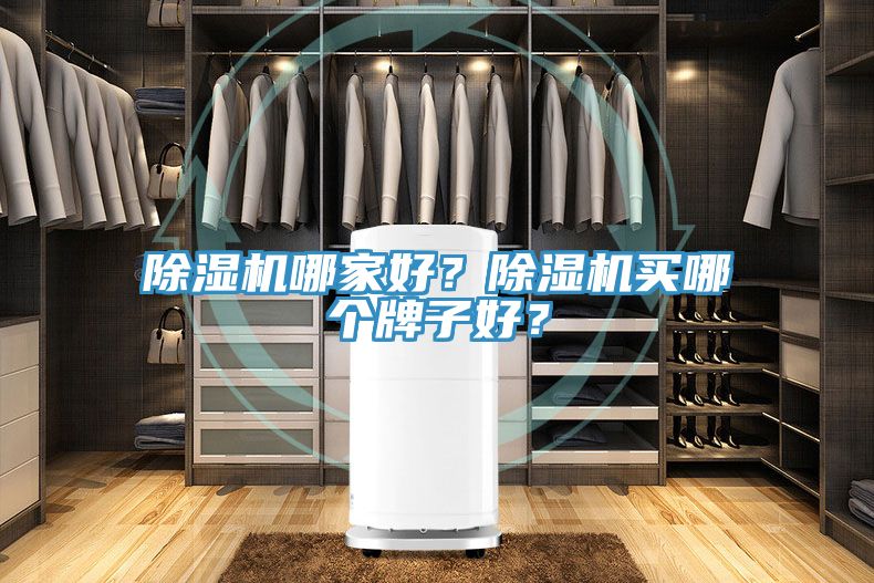 除濕機(jī)哪家好？除濕機(jī)買哪個牌子好？