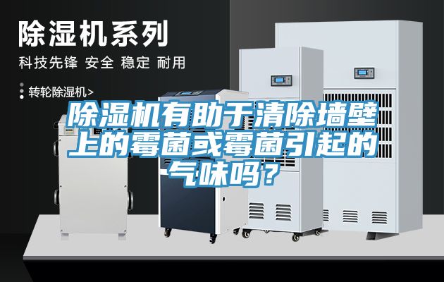 除濕機有助于清除墻壁上的霉菌或霉菌引起的氣味嗎？