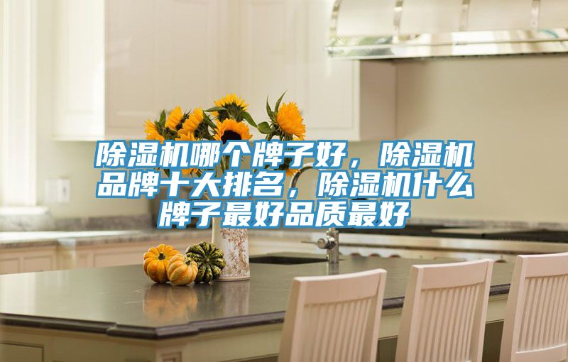 除濕機(jī)哪個(gè)牌子好，除濕機(jī)品牌十大排名，除濕機(jī)什么牌子最好品質(zhì)最好