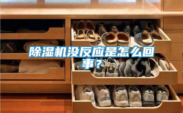 除濕機(jī)沒反應(yīng)是怎么回事？