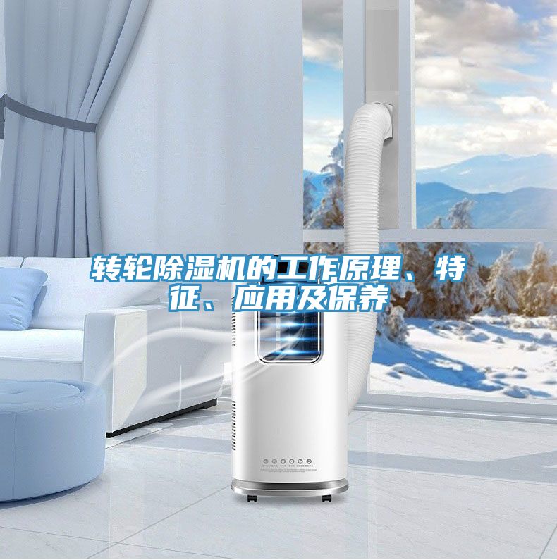 轉(zhuǎn)輪除濕機的工作原理、特征、應(yīng)用及保養(yǎng)