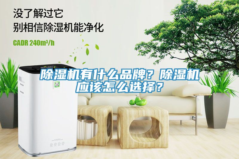 除濕機(jī)有什么品牌？除濕機(jī)應(yīng)該怎么選擇？