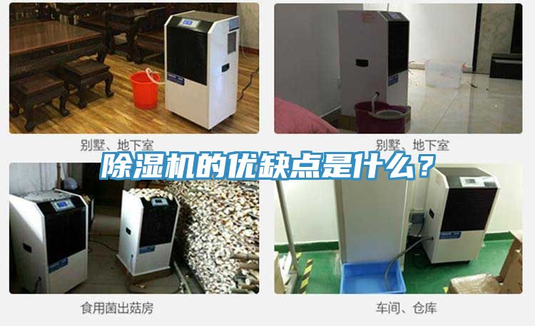 除濕機的優(yōu)缺點是什么？