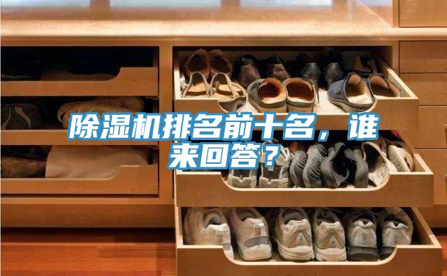 除濕機(jī)排名前十名，誰來回答？