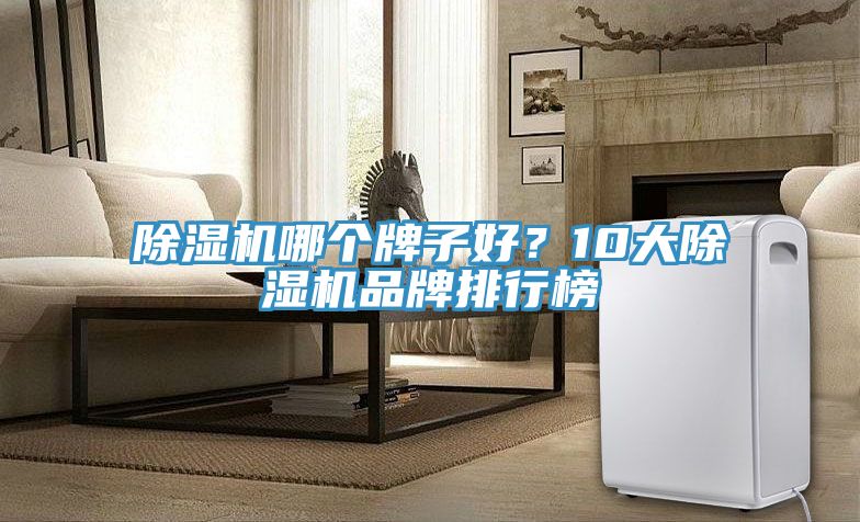 除濕機(jī)哪個(gè)牌子好？10大除濕機(jī)品牌排行榜