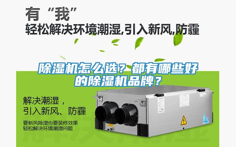 除濕機怎么選？都有哪些好的除濕機品牌？