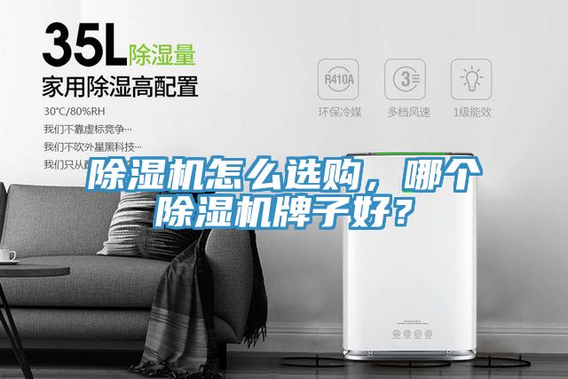 除濕機(jī)怎么選購，哪個(gè)除濕機(jī)牌子好？