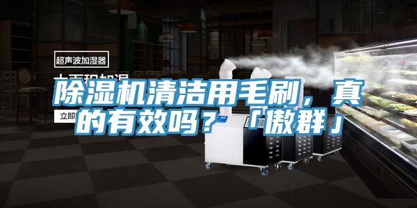 除濕機(jī)清潔用毛刷，真的有效嗎？「傲群」