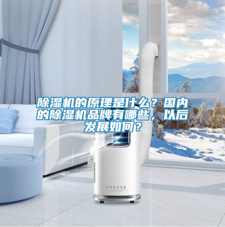 除濕機(jī)的原理是什么？國(guó)內(nèi)的除濕機(jī)品牌有哪些，以后發(fā)展如何？