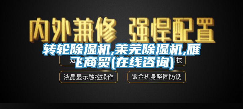 轉(zhuǎn)輪除濕機(jī),萊蕪除濕機(jī),雁飛商貿(mào)(在線咨詢(xún))