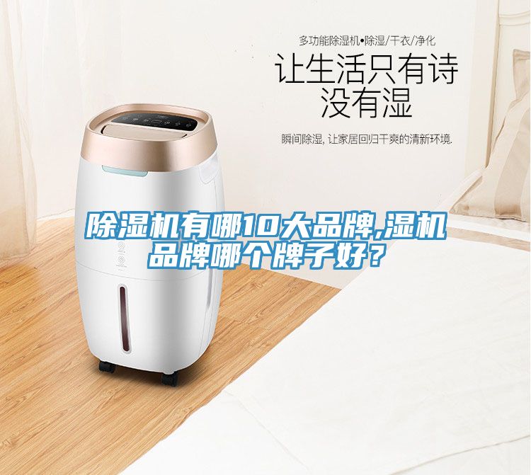 除濕機(jī)有哪10大品牌,濕機(jī)品牌哪個(gè)牌子好？
