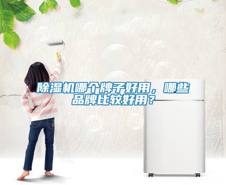 除濕機哪個牌子好用，哪些品牌比較好用？