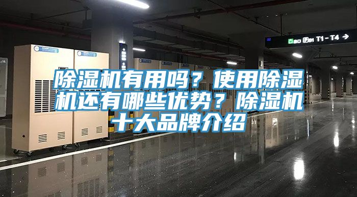 除濕機有用嗎？使用除濕機還有哪些優(yōu)勢？除濕機十大品牌介紹