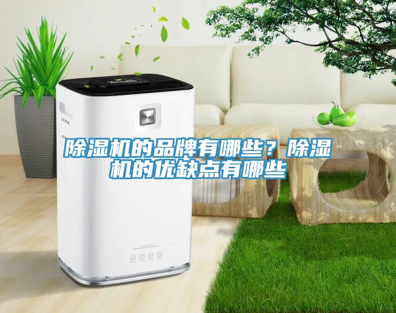 除濕機(jī)的品牌有哪些？除濕機(jī)的優(yōu)缺點(diǎn)有哪些