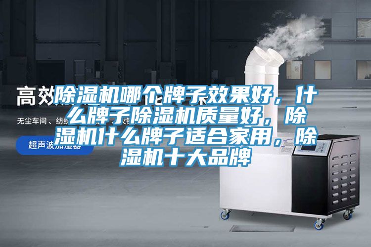 除濕機(jī)哪個牌子效果好，什么牌子除濕機(jī)質(zhì)量好，除濕機(jī)什么牌子適合家用，除濕機(jī)十大品牌