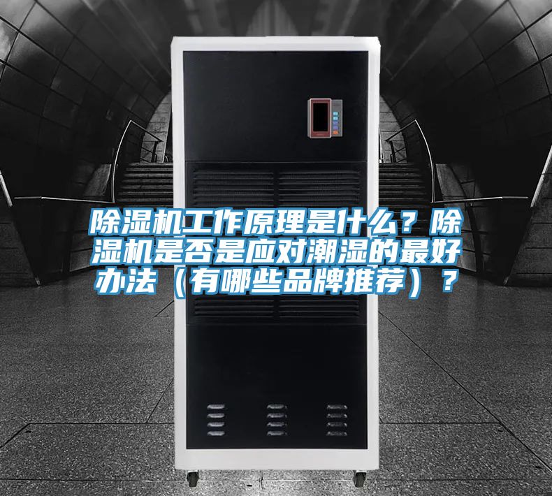 除濕機工作原理是什么？除濕機是否是應對潮濕的最好辦法（有哪些品牌推薦）？