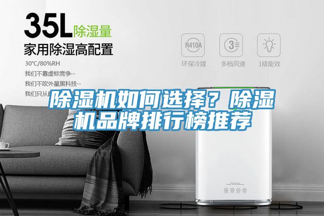 除濕機(jī)如何選擇？除濕機(jī)品牌排行榜推薦