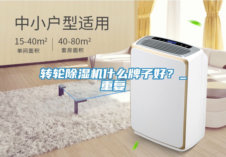 轉(zhuǎn)輪除濕機什么牌子好？_重復(fù)