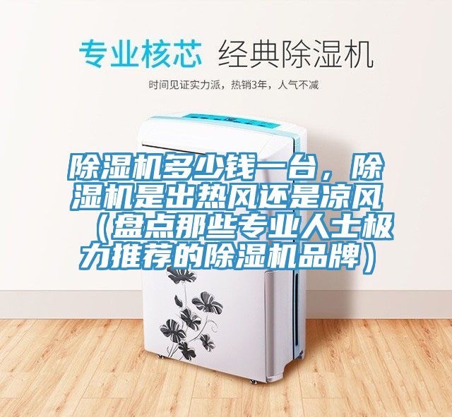 除濕機(jī)多少錢一臺(tái)，除濕機(jī)是出熱風(fēng)還是涼風(fēng)（盤點(diǎn)那些專業(yè)人士極力推薦的除濕機(jī)品牌）