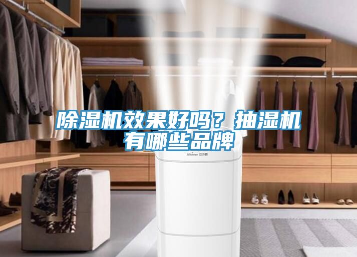 除濕機(jī)效果好嗎？抽濕機(jī)有哪些品牌