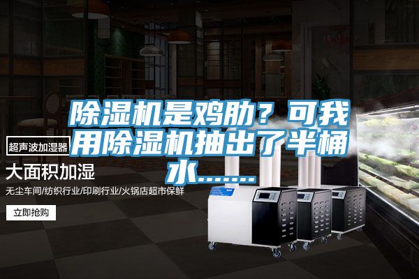 除濕機(jī)是雞肋？可我用除濕機(jī)抽出了半桶水.......