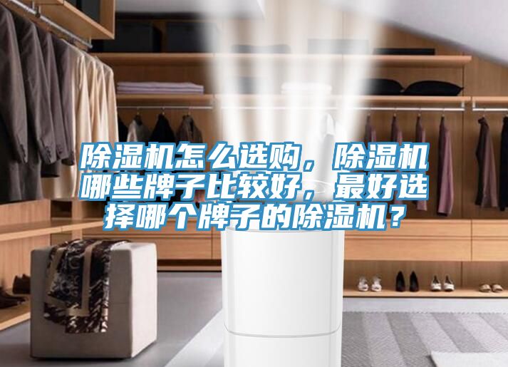 除濕機(jī)怎么選購，除濕機(jī)哪些牌子比較好，最好選擇哪個(gè)牌子的除濕機(jī)？