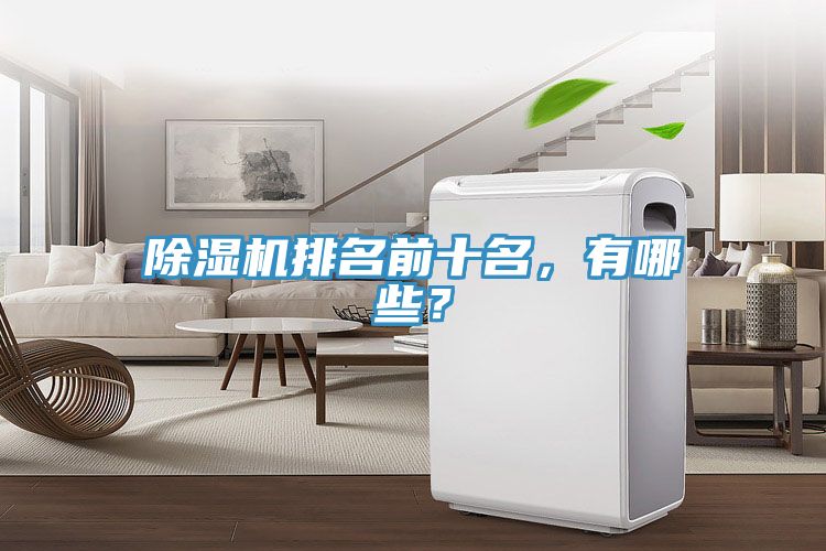 除濕機(jī)排名前十名，有哪些？