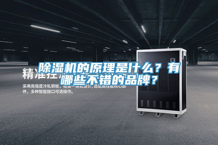 除濕機(jī)的原理是什么？有哪些不錯的品牌？