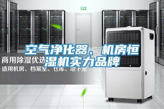 空氣凈化器、機(jī)房恒濕機(jī)實(shí)力品牌