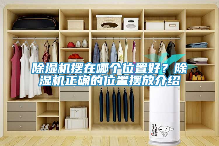 除濕機(jī)擺在哪個(gè)位置好？除濕機(jī)正確的位置擺放介紹