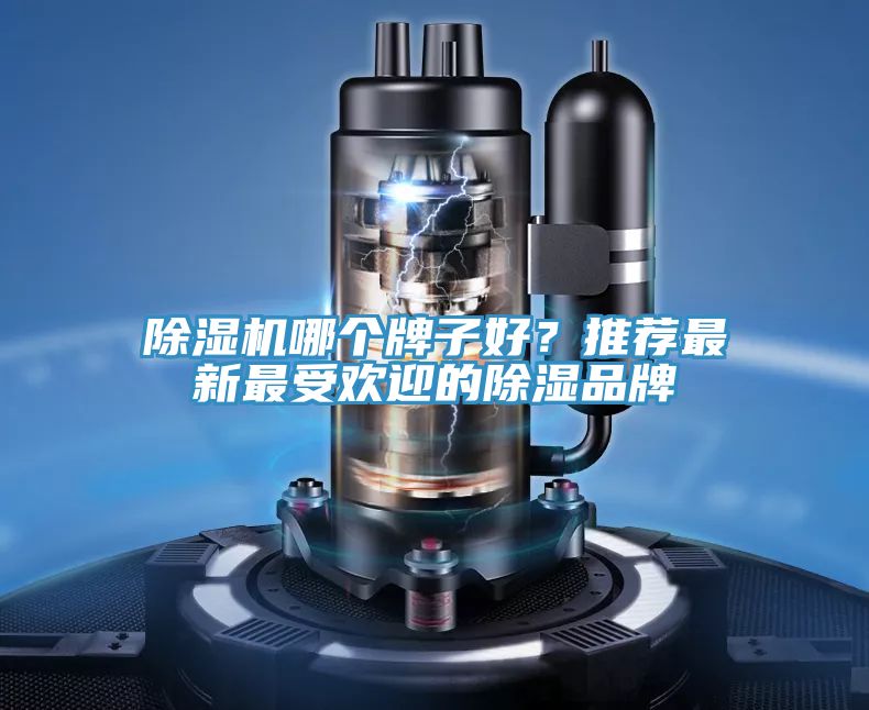 除濕機(jī)哪個(gè)牌子好？推薦最新最受歡迎的除濕品牌