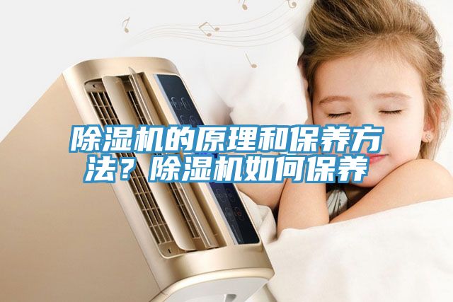 除濕機(jī)的原理和保養(yǎng)方法？除濕機(jī)如何保養(yǎng)
