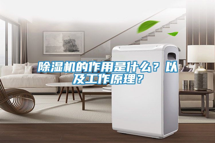 除濕機(jī)的作用是什么？以及工作原理？