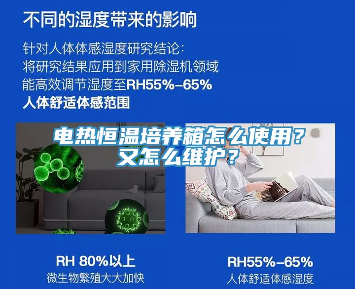 電熱恒溫培養(yǎng)箱怎么使用？又怎么維護(hù)？