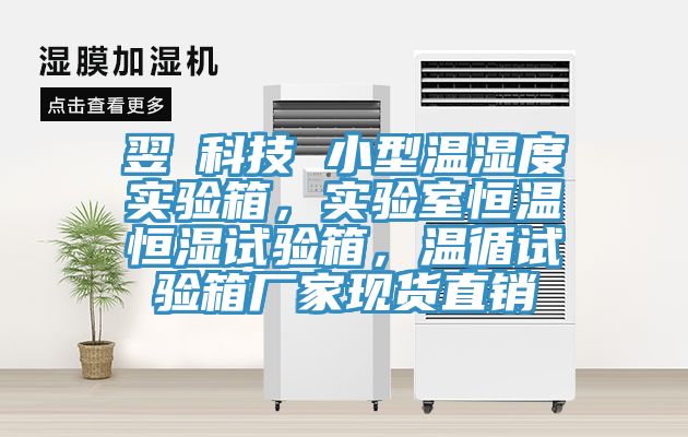 翌昇科技 小型溫濕度實驗箱，實驗室恒溫恒濕試驗箱，溫循試驗箱廠家現(xiàn)貨直銷