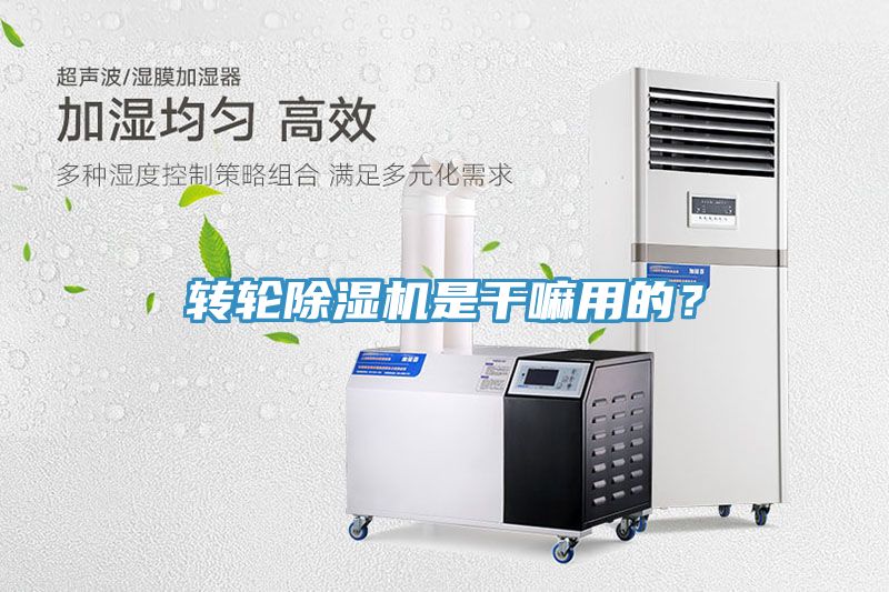 轉(zhuǎn)輪除濕機(jī)是干嘛用的？
