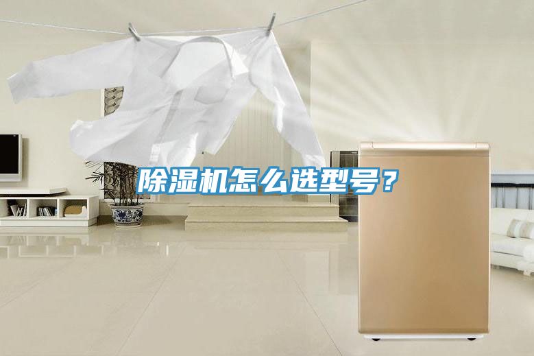 除濕機(jī)怎么選型號？
