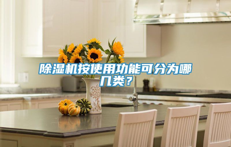 除濕機按使用功能可分為哪幾類？