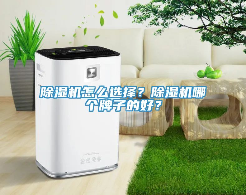除濕機(jī)怎么選擇？除濕機(jī)哪個(gè)牌子的好？